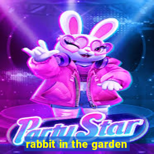 rabbit in the garden