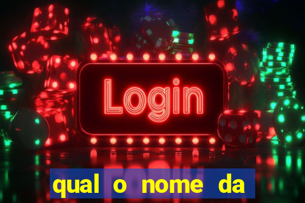 qual o nome da casinha do pinguim