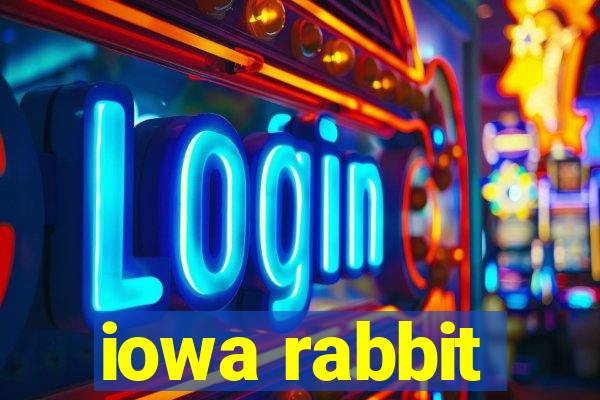 iowa rabbit