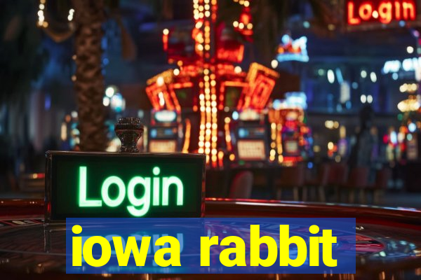 iowa rabbit