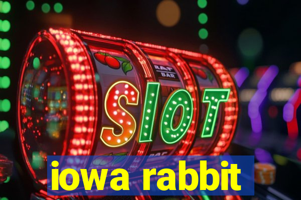 iowa rabbit