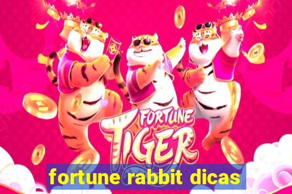 fortune rabbit dicas