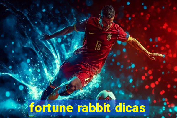 fortune rabbit dicas