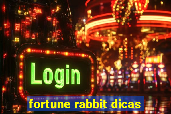 fortune rabbit dicas