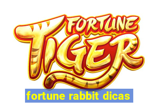 fortune rabbit dicas