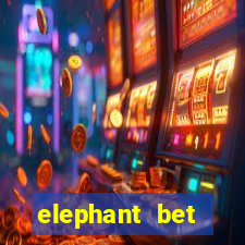 elephant bet aviator login