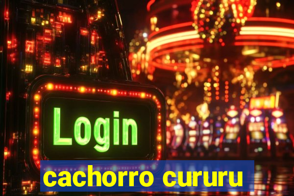 cachorro cururu