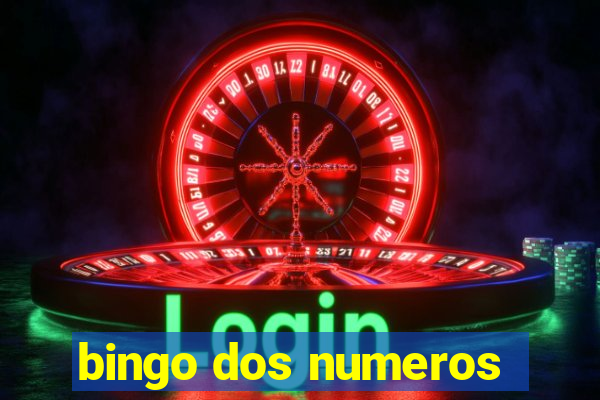 bingo dos numeros