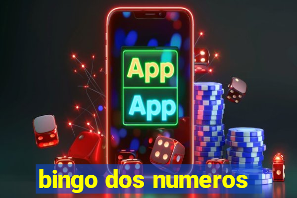 bingo dos numeros