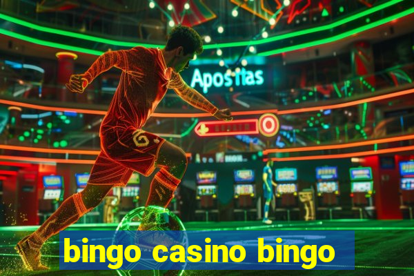 bingo casino bingo