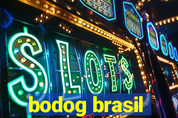 bodog brasil