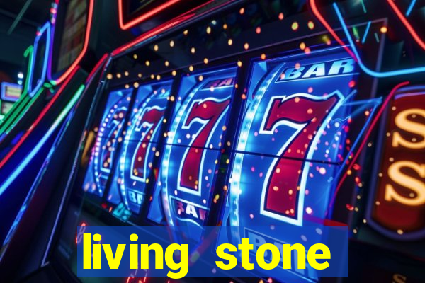 living stone network tv