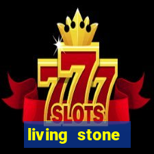 living stone network tv