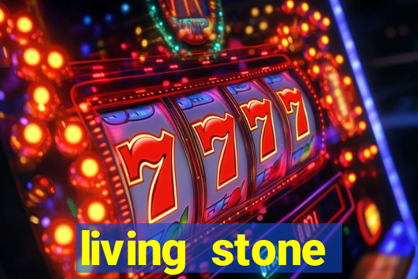 living stone network tv