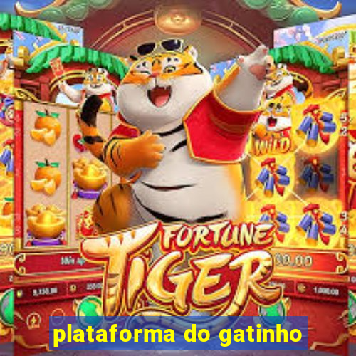 plataforma do gatinho