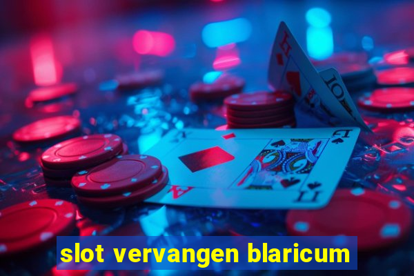 slot vervangen blaricum