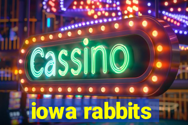 iowa rabbits