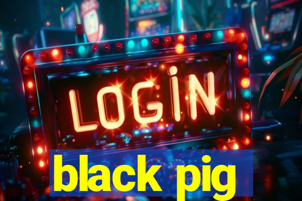 black pig