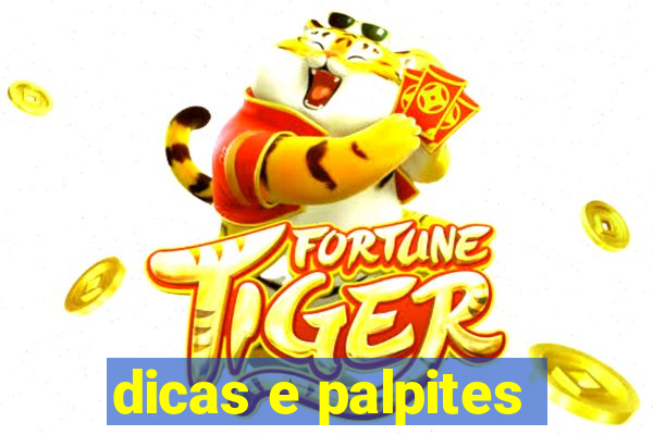 dicas e palpites