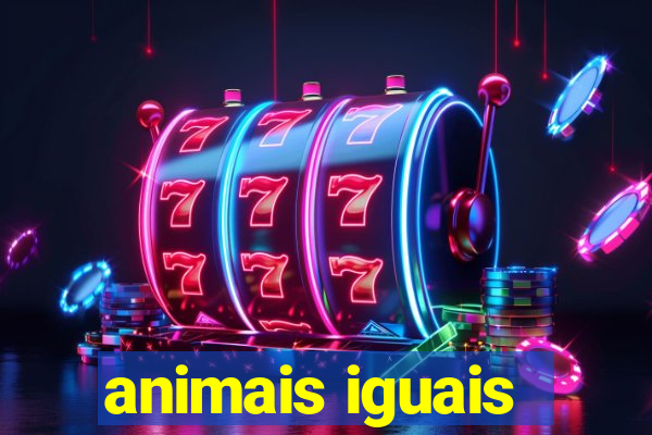 animais iguais