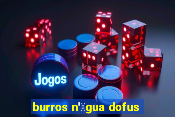 burros n'谩gua dofus