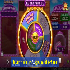 burros n'谩gua dofus