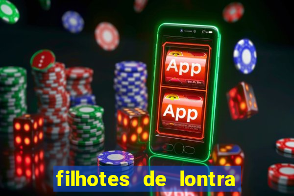 filhotes de lontra para vender