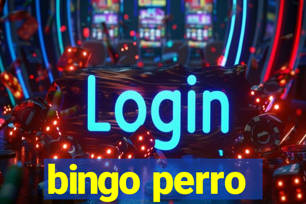 bingo perro