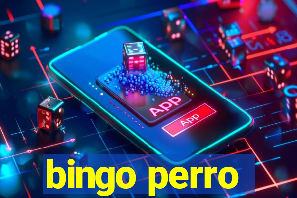 bingo perro