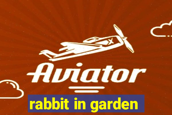 rabbit in garden