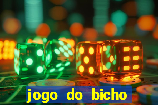 jogo do bicho crash bingo