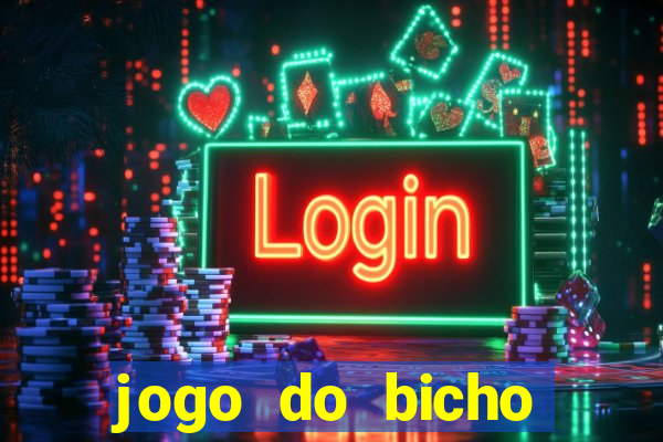 jogo do bicho crash bingo