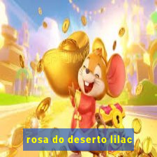 rosa do deserto lilac