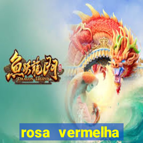 rosa vermelha (letra e cifra)