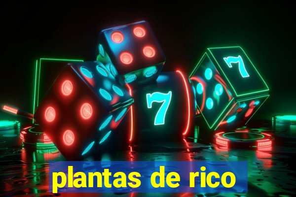 plantas de rico