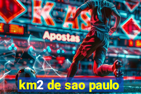 km2 de sao paulo