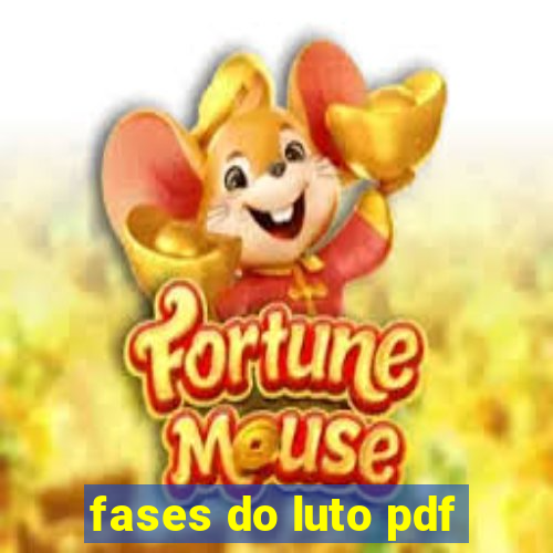 fases do luto pdf