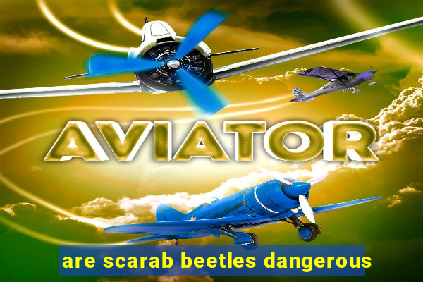 are scarab beetles dangerous