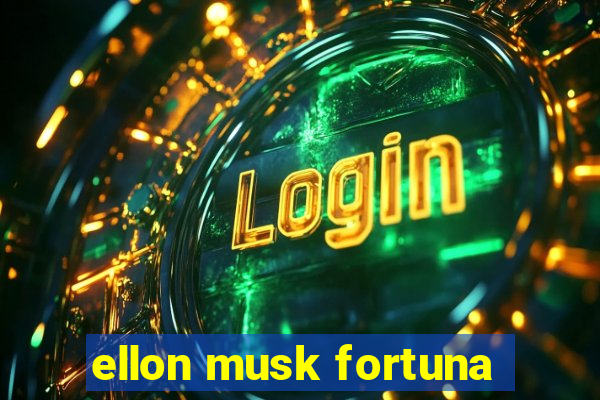 ellon musk fortuna