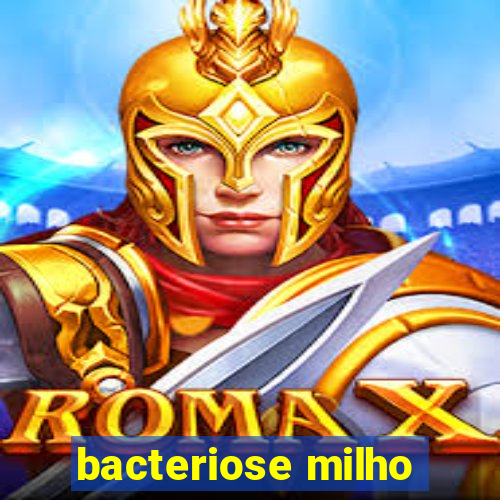 bacteriose milho