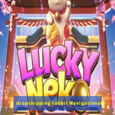 dropshipping rabbit Navigational