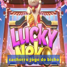 cachorro jogo do bicho