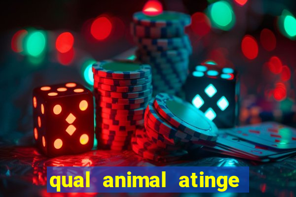 qual animal atinge 230 decibeis