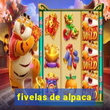 fivelas de alpaca