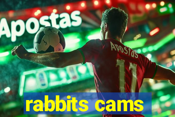 rabbits cams