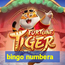 bingo numbera