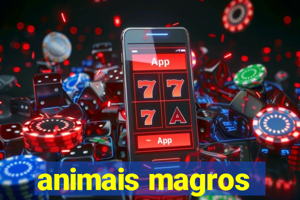 animais magros