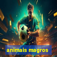 animais magros