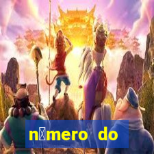 n煤mero do bate-papo da vivo