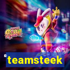 teamsteek